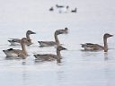 ウトナイ湖
