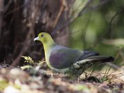 如月の公園で