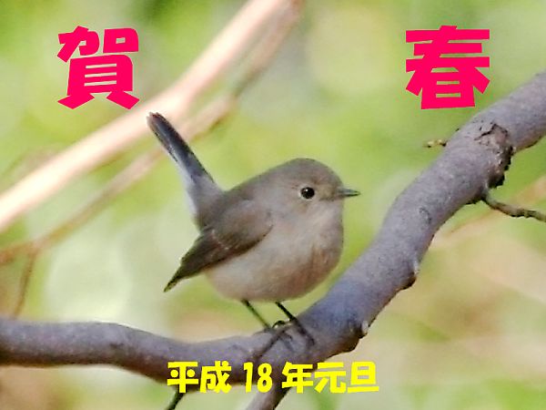 IWr^L