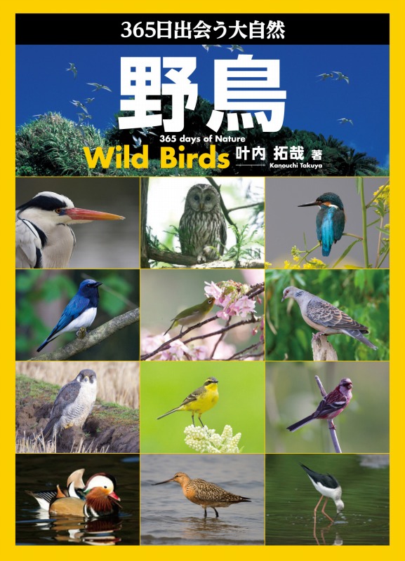 図鑑の画像