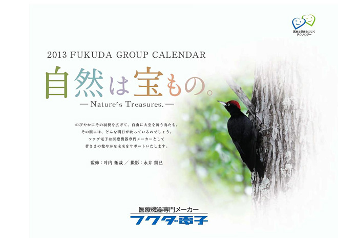2013年カレンダー