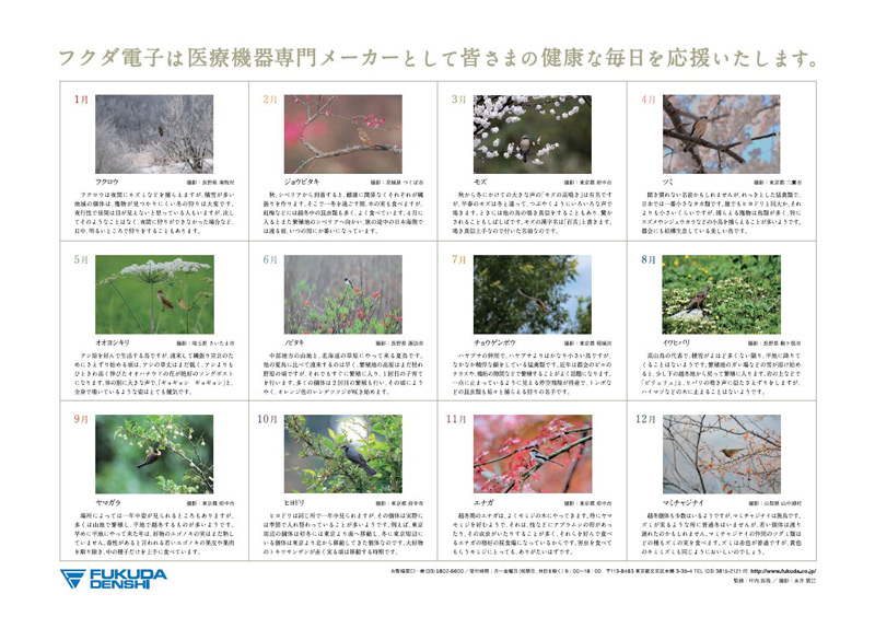 解説