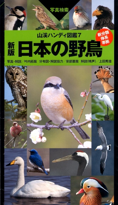 図鑑「日本の野鳥」の画像