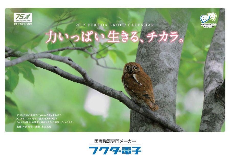2013年カレンダー