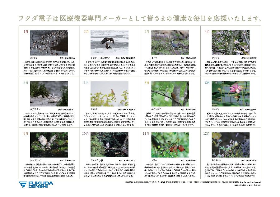 解説