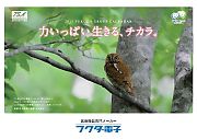 カレンダーのご紹介の画像