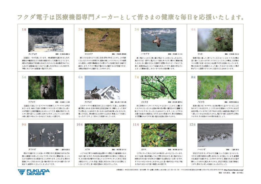 解説