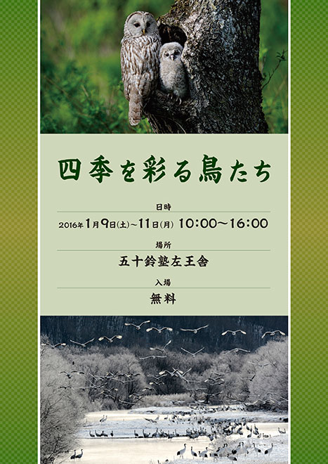 写真展のご案内 写真展のご案内の画像