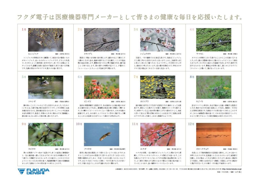 解説