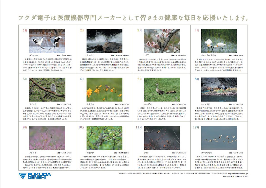解説