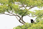 田園風景 田園風景の画像