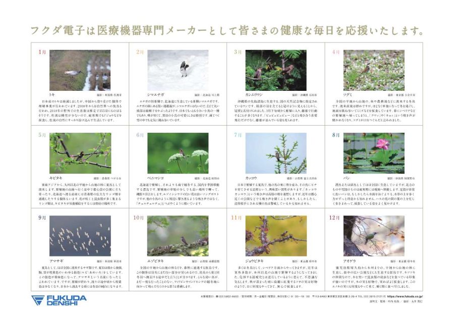 解説