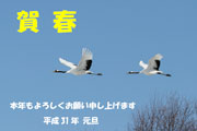 新年のご挨拶 新年のご挨拶の画像