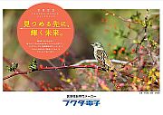 永井凱巳氏のカレンダー