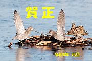 新年のご挨拶
