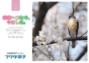 永井凱巳氏のカレンダーのご紹介
