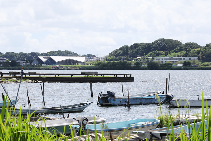 沼のほとり
