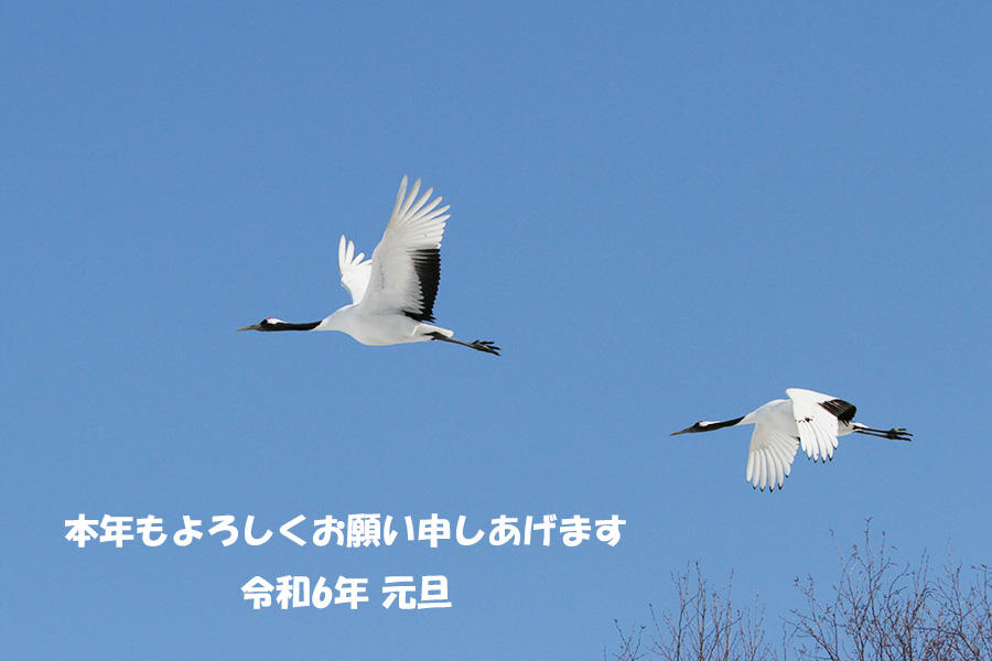 新年のご挨拶
