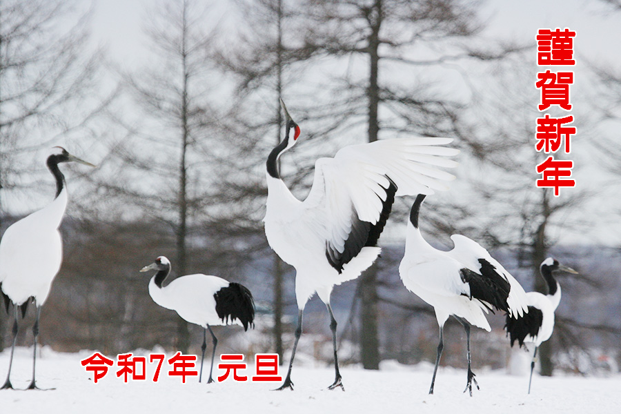 沼のほとり